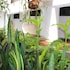 hotel natural