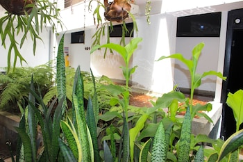 hotel natural
