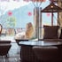li river resort