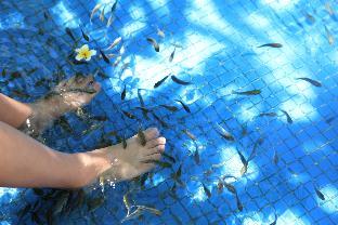 four season ocean courtyard hotel