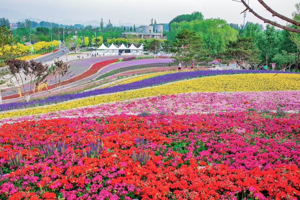 crowne plaza beijing badaling by ihg