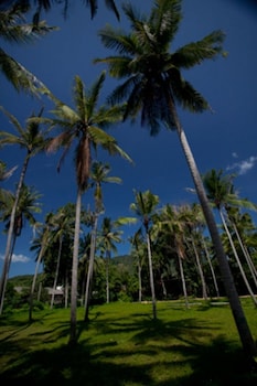 astrococo beach resort by coconut beach