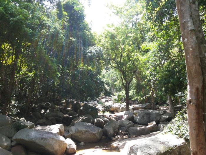 astrococo beach resort by coconut beach