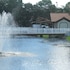 bradenton