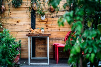 chengdu flipflop hostel