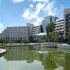 luan suntone plaza hotel