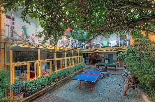 cloudland international youth hostel