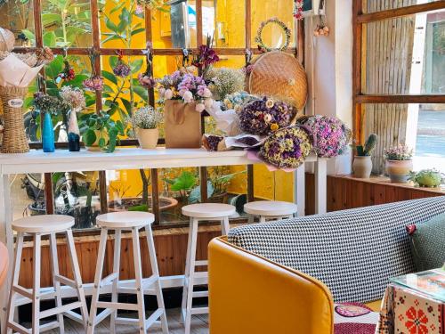 cloudland international youth hostel