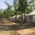 prairie juhanxuan farm