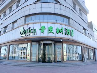 vatica tianjin jinghai bus station home world plaza hotel