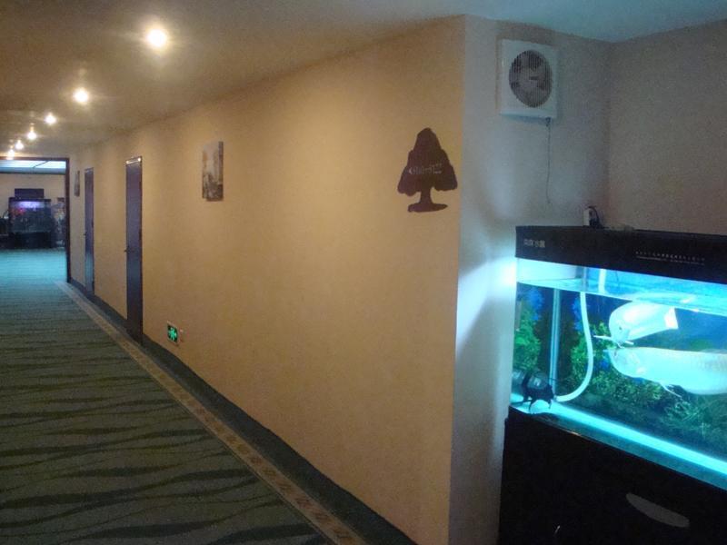 greentree inn beijing houhai express hotel