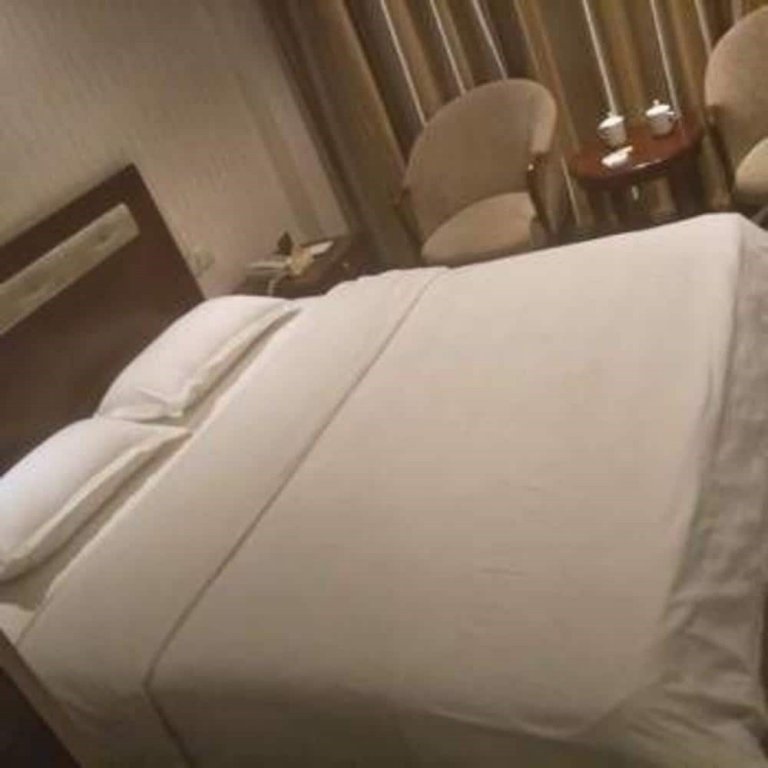 vienna hotel shandong zaozhuang tengzhou railway station