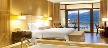 dahongpao resort wuyi mountain