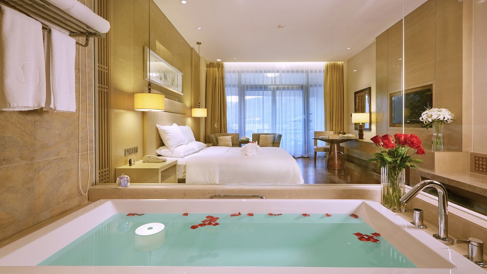 dahongpao resort wuyi mountain