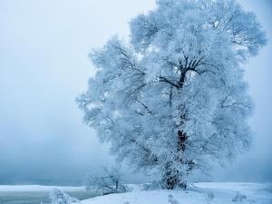 jilin