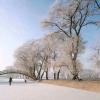 jilin