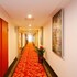 greentree inn hefei heyu road dayun city express hotel