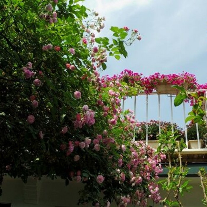 peking yard boutique hotel