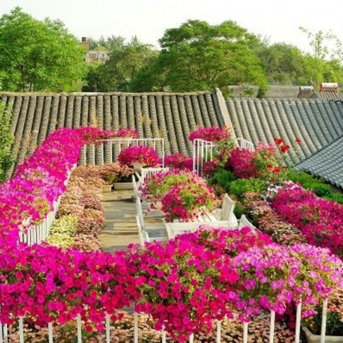 peking yard boutique hotel