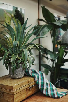 peking yard boutique hotel