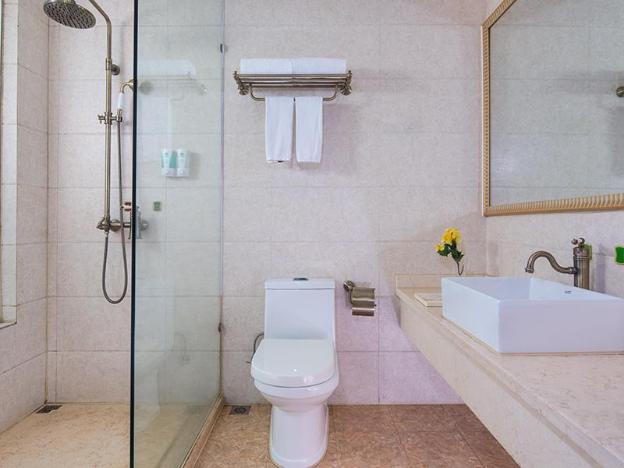 vienna hotel dongguan songshan lake