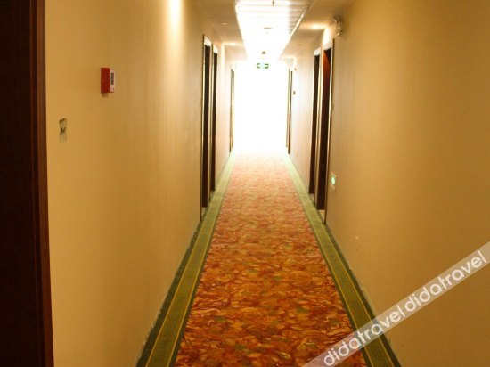 greentree alliance shanghai pudong north zhangyang road