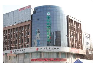 greentree inn qinyang middle huaifu road express hotel