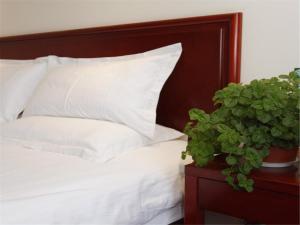 greentree inn shanxi jinzhong jiexiu railway station express hotel
