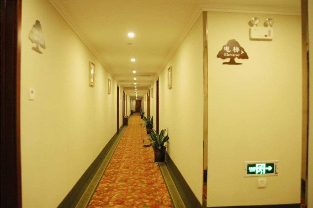greentree inn heze mudan road bus terminal station express hotel
