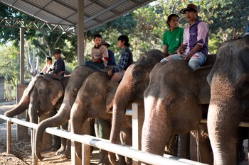 lai thai guest house