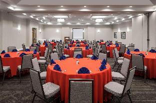 hilton garden inn dallas allen