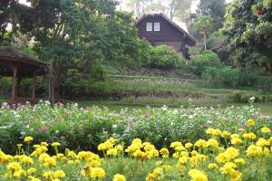 maesa valley garden resort