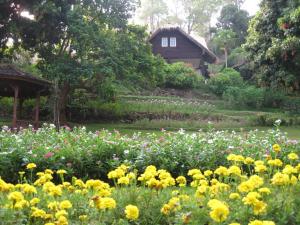 maesa valley garden resort