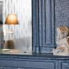 hotel saint florent