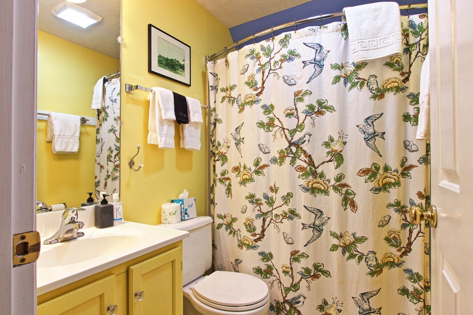 blacksburg bed and breakfast