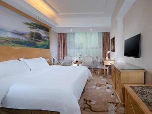 vienna hotel guangdong dongguan tangxia south high speed railway station