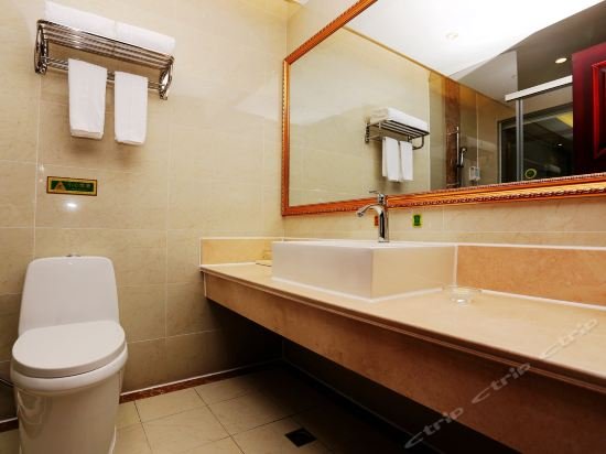 vienna hotel jiangsu nanjing baijiahu jinying