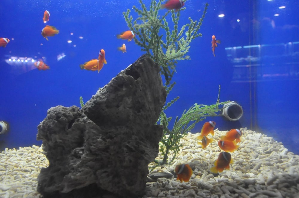 mg hotel st michaels cathedral qingdao