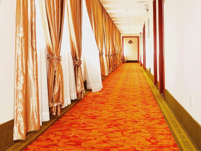 greentree inn hainan haikou haifu road provincial government express hotel