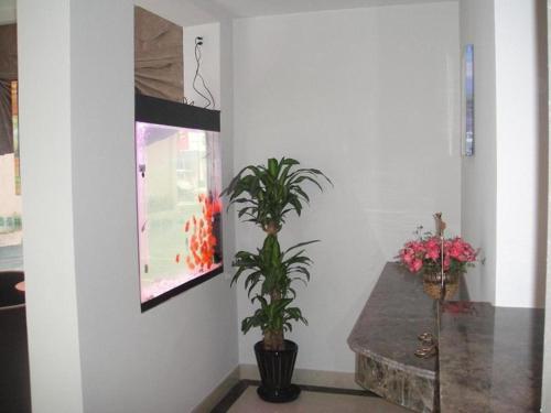 greentree inn nanjing zhongyangmen railway station express hotel