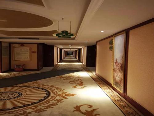 vienna international dg changan north station