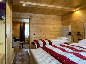 chalet kolasin montenegro