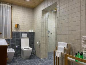 chalet kolasin montenegro