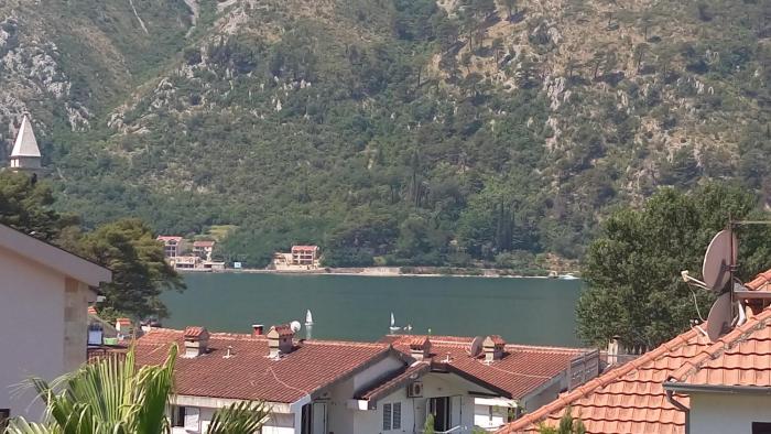 kotor