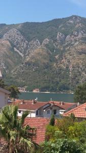 kotor