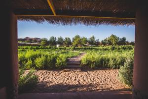 san pedro de atacama