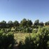 san pedro de atacama