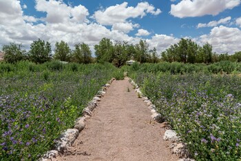 san pedro de atacama