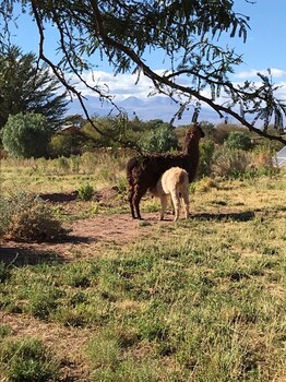 san pedro de atacama