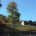 curarrehue